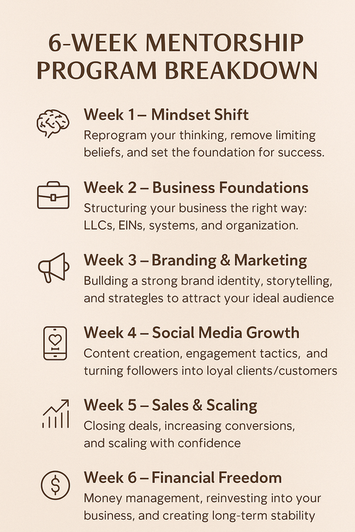 6 Figure Mentorship Course
